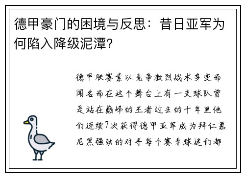 德甲豪门的困境与反思：昔日亚军为何陷入降级泥潭？